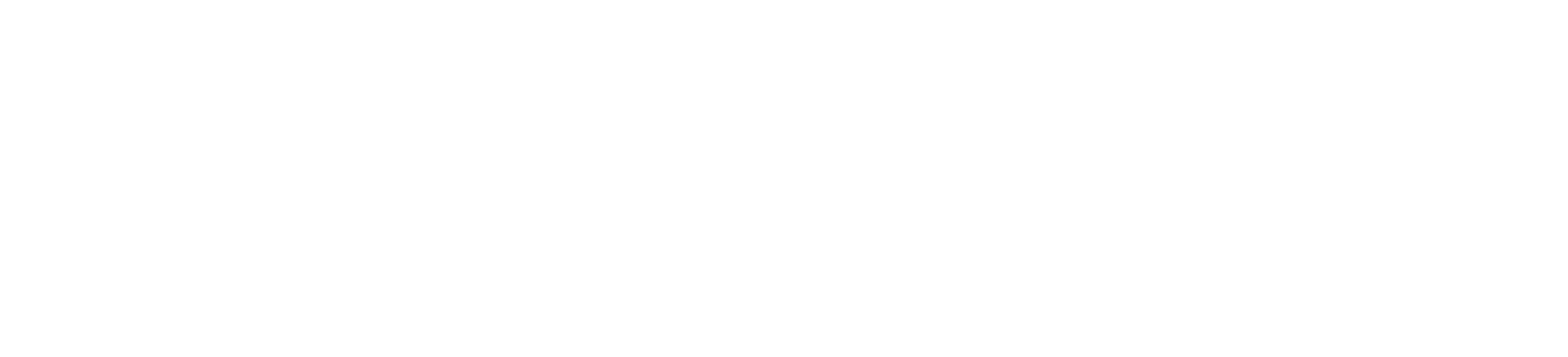 CIT_MSP CMMC L2_Logo_White_F
